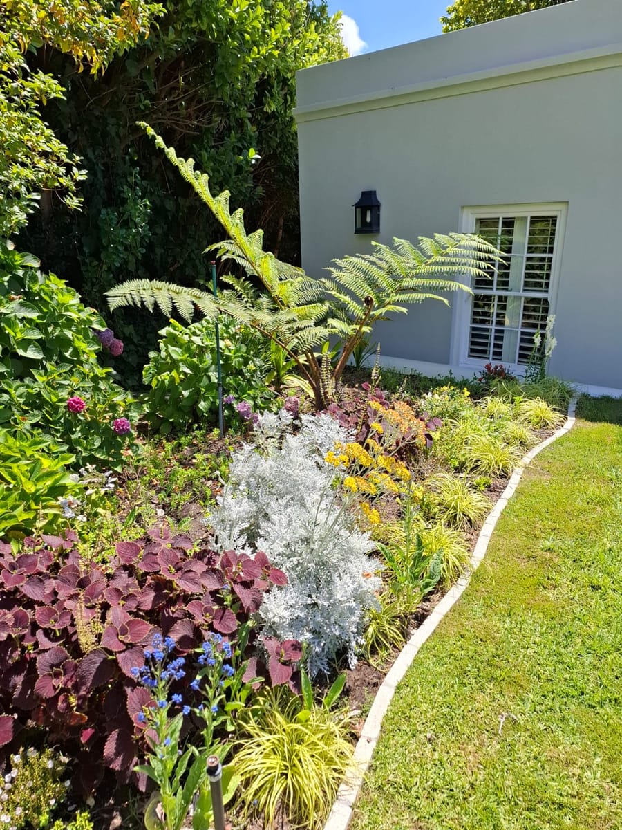 A lush, established Hart Home & Garden border