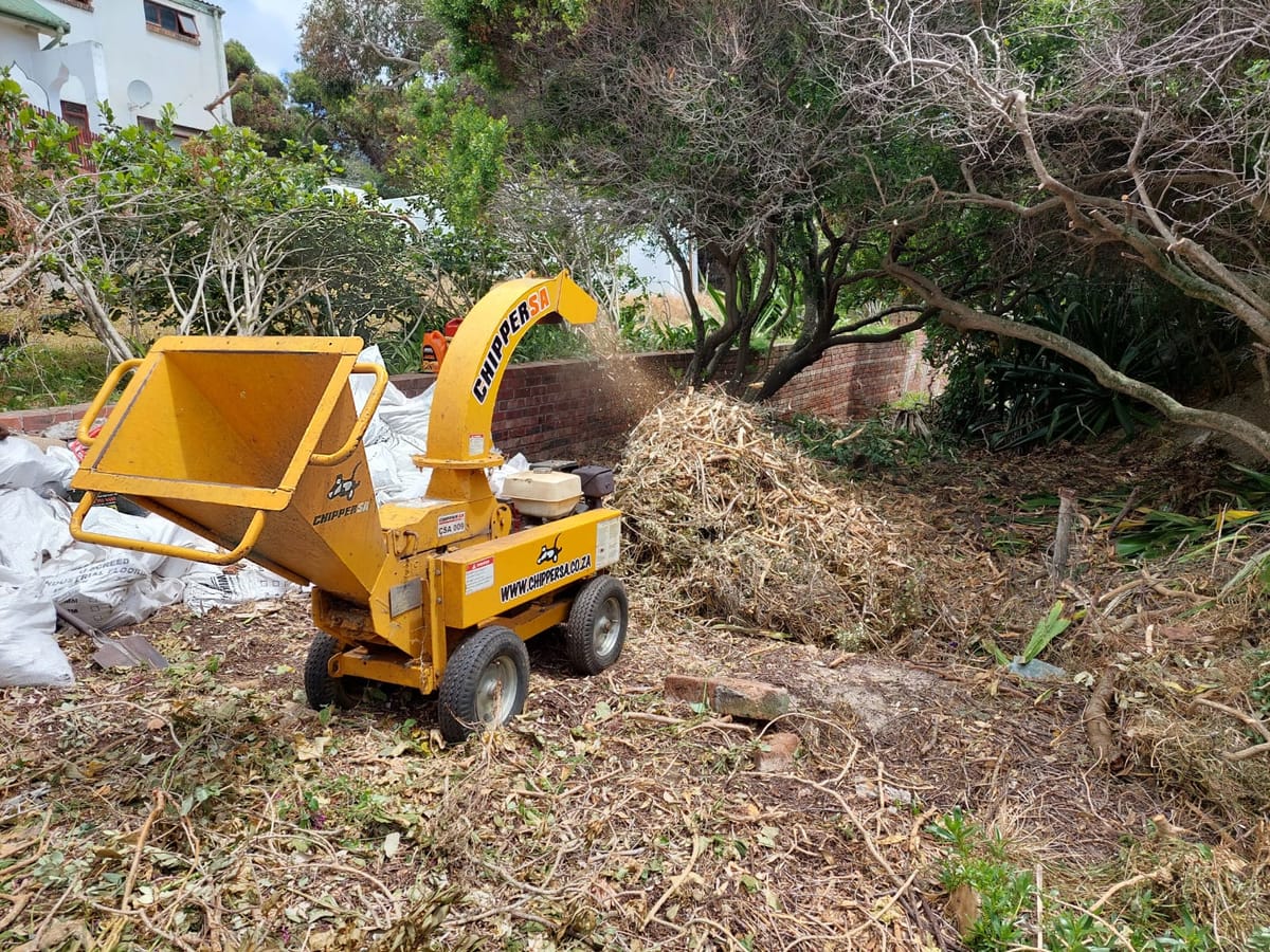 Chipping & Clean-Up