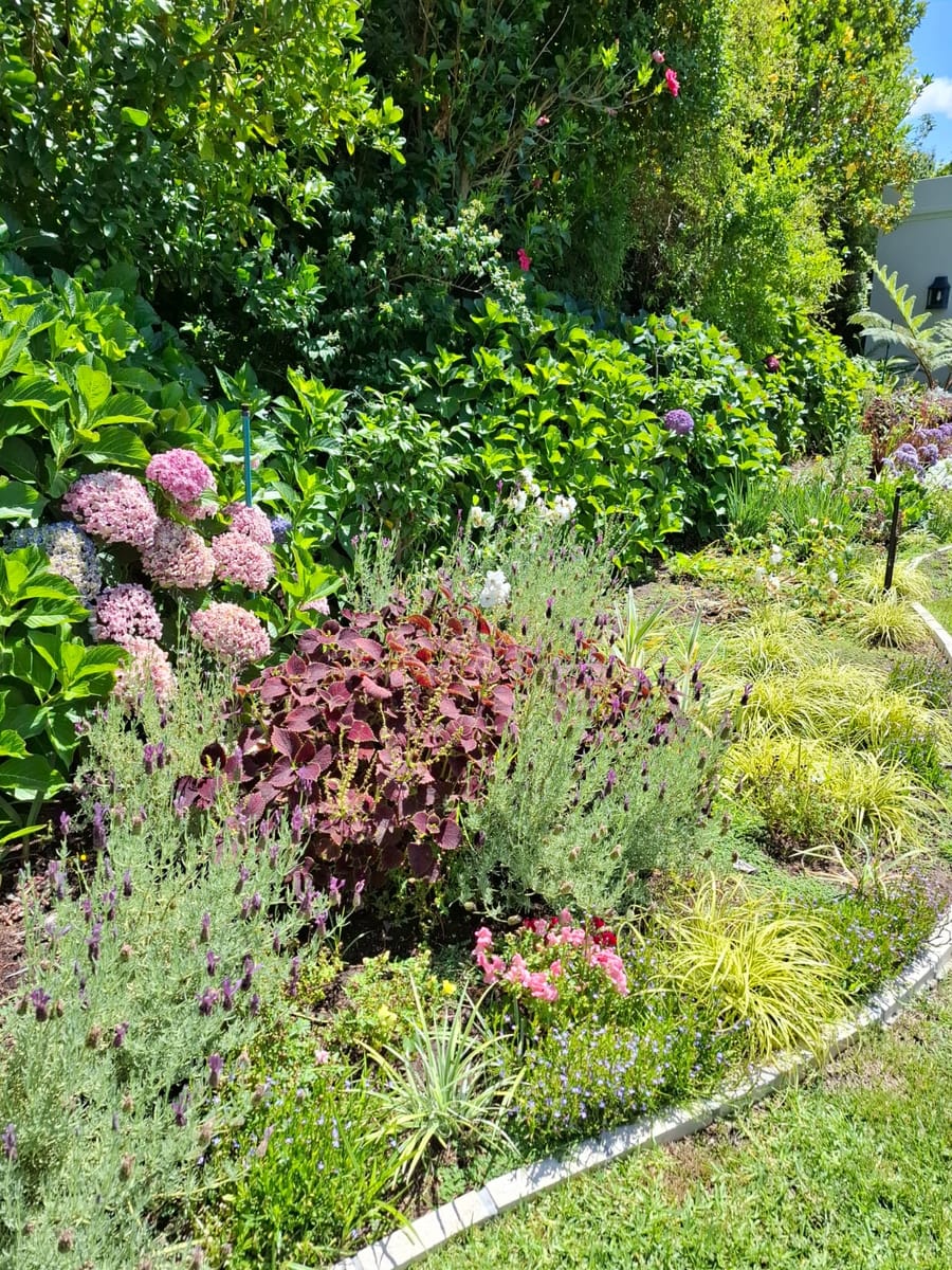 Landscape Design & Installation